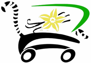 Logo von vanilleschoten.shop – stilisierter Einkaufswagen mit Vanilleblüte